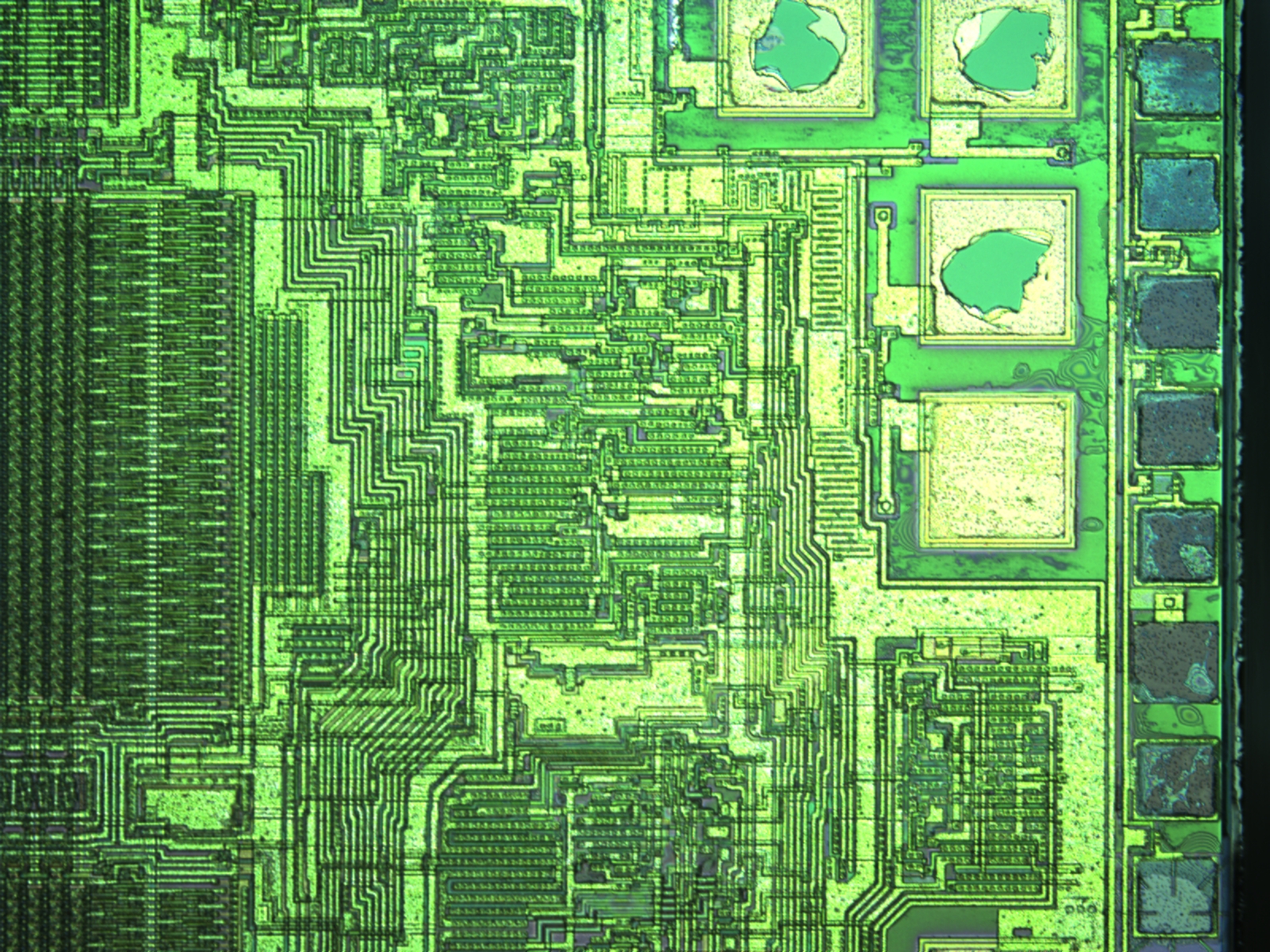 m5-10x-02.jpg